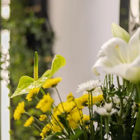 Przy Skarpie Rozbark 4* Bytom