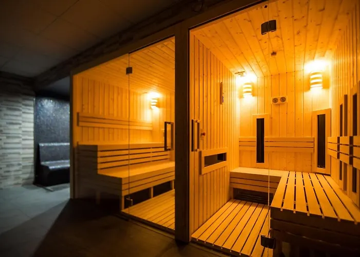 아파트호텔 Przy Skarpie Rozbark 바이톰